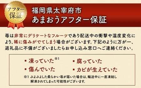 【3回定期便】 うるう農園のあまおう サイズ色々2パック （計約570g） 【2026年2月上旬～4月下旬発送予定】 あまおう いちご 苺 果物 フルーツ 定期便 冷蔵 福岡県 太宰府