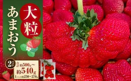 大粒あまおう 約250～270g × 2パック （計500～540g） 【2026年2月上旬～4月上旬発送予定】 あまおう 苺 いちご イチゴ くだもの 果物 フルーツ 国産 福岡県産 福岡県 太宰府市 冷蔵 6,930円