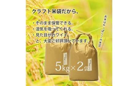 【令和7年産】福岡県産 【特A】評価のお米「元気つくし」5kg×2袋（10kg）白米 精米 お米 米