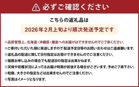 化粧箱入り プレミアムあまおう 約400g×1パック【ギフト・お祝い・贈答用】【2026年2月上旬～2026年4月上旬発送予定】 EX いちご イチゴ 苺 あまおう EXグレード 果物 くだもの フルーツ 福岡県 太宰府市