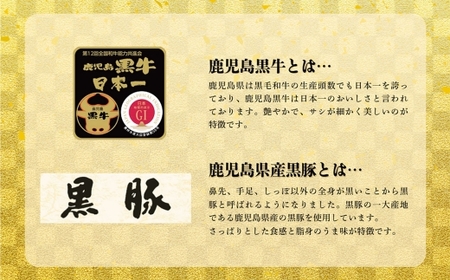鹿児島黒牛 × 黒豚 黒黒生ハンバーグ 各3個 計6個 セット お肉 ニク 肉 にく 牛肉 牛 豚肉 豚 ハンバーグ 和牛 惣菜 冷凍