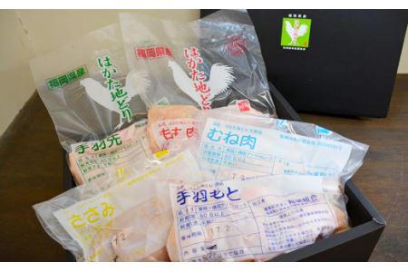 福岡県産 はかた地どり 産地パック チルドセット