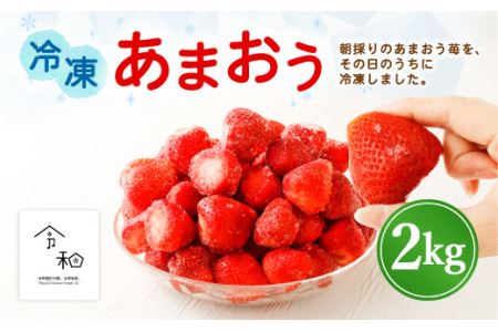 うるう農園の 冷凍 あまおう 2kg フルーツ 苺 イチゴ いちご 果物