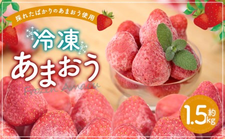 冷凍あまおう 約1.5kg あまおう 福岡県産 九州産 いちご 苺 イチゴ 果物 フルーツ スムージー ジャム 冷凍フルーツ 冷凍