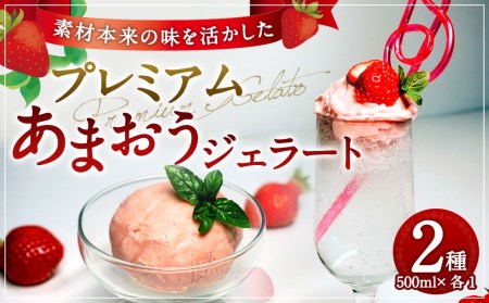 プレミアムあまおうジェラート 2種セット シャーベット アイス スイーツ デザート アイスクリーム あまおう 福岡県産 九州産 洋菓子 いちご 苺 イチゴ 冷凍 4,000円