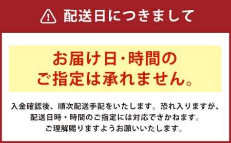 【一蘭】至高の逸品そろい踏み 一蘭ラーメン食べ比べセット ちぢれ麺 細麺