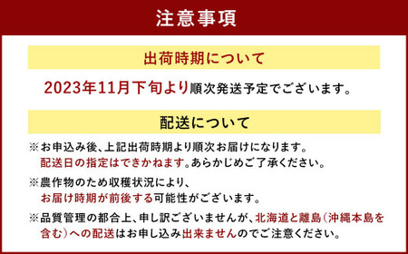 2023年11月下旬より順次発送】福岡県産 あまおう 4パック ＆ 練乳