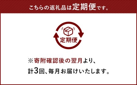お試しプラン！【3ヶ月定期便】【老舗人気店】博多本格もつ鍋セット 2～3人前