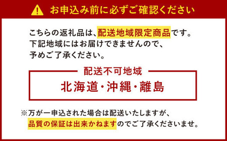 2023年12月上旬より順次発送】うるう農園の あまおう DX等級 2パック