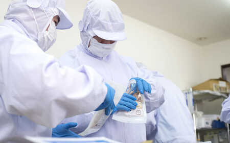 【国産・無添加】セカンドキッチン ペットフード ペットのおやつ ひと口ささみ 計880g (110g×8袋)