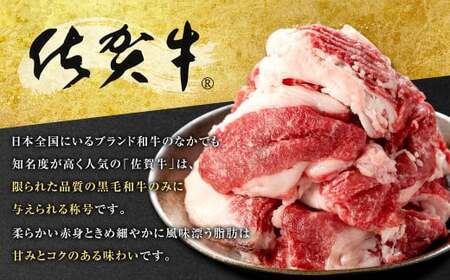 佐賀牛 切り落とし 合計約900g 約450g×2パック