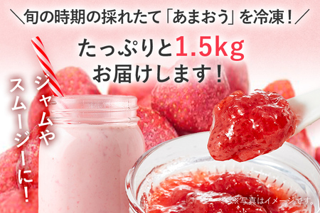 冷凍いちご（あまおう）約1.5kg ジャム シロップ スムージー 冷凍 イチゴ 苺 あまおう 果物 くだもの フルーツ 冷凍果実 冷凍フルーツ 先行予約 送料無料