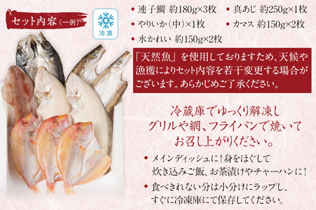 生から開いた一夜干しセット 5種9枚 干物 冷凍 5種類 アジ 連子鯛 カマス 水カレイ ヤリイカ 送料無料