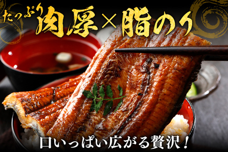 【緊急支援品】九州産うなぎ2尾 国産 厳選特大 有頭 200g 2尾 蒲焼き 肉厚 ジューシー ふっくら 別添えタレ付き 九州 グルメ お取り寄せ