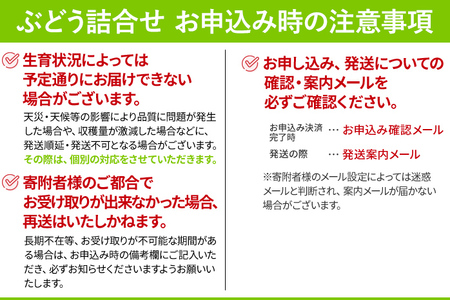 9月中旬頃から順次発送 ぶどう詰合せ（シャインマスカット＋珍しいぶどう） ナガノパープル クイーンニーナ グロースクローネ 瀬戸ジャイアンツ 雄宝  マイハート サンヴェルデ マスカット・ノアール 福岡県 九州 お取り寄せ | 福岡県古賀市 | ふるさと納税サイト「ふるなび」