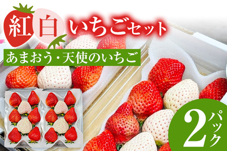 紅白いちごセット（あまおうと天使のいちご）いちご フルーツ 果物 あまおう 天使のいちご 白いちご 2パック 1パック約250g～270g 食べ比べ 福岡 苺 イチゴ 紅白【2026年2月～2026年4月中旬頃発送予定】
