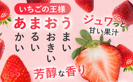 紅白いちごセット（あまおうと天使のいちご）いちご フルーツ 果物 あまおう 天使のいちご 白いちご 2パック 1パック約250g～270g 食べ比べ 福岡 苺 イチゴ 紅白【2026年2月～2026年4月中旬頃発送予定】