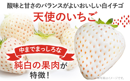 紅白いちごセット（あまおうと天使のいちご）いちご フルーツ 果物