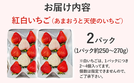 紅白いちごセット（あまおうと天使のいちご）いちご フルーツ 果物