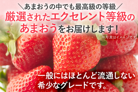 プレミアム あまおう EX（化粧箱入り）いちご フルーツ 果物 あまおう 約400g×1パック 福岡 苺 イチゴ 化粧箱 【発送時期2026年2月上旬～2026年4月上旬】