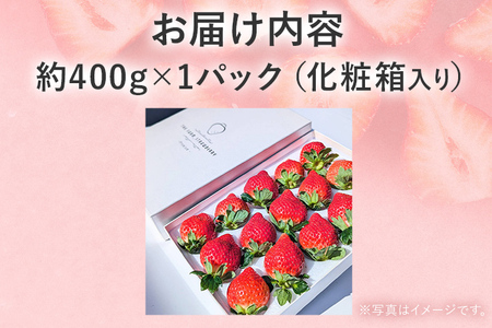 プレミアム あまおう EX（化粧箱入り）いちご フルーツ 果物 あまおう 約400g×1パック 福岡 苺 イチゴ 化粧箱 【発送時期2026年2月上旬～2026年4月上旬】