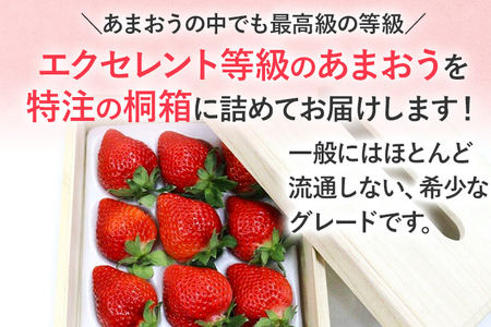 プレミアムあまおうEX (ティッシュボックス用特別仕様の桐箱入り）いちご フルーツ 果物 あまおう 約400g×1パック 福岡 苺 イチゴ 桐箱 【発送時期2026年2月上旬～2026年4月上旬】
