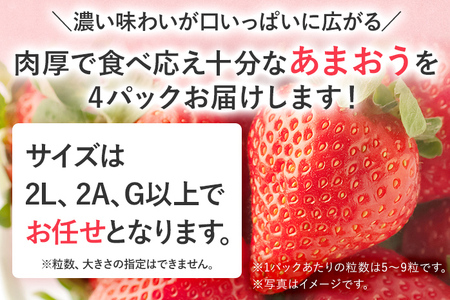 産地直送厳選あまおう 4パックセット（G,2L,2A規格以上）【数量限定】いちご フルーツ 果物 あまおう 約270g×4パック 福岡 苺 イチゴ 【発送時期2026年1月上旬～2026年月4月上旬】