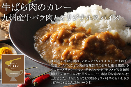 ピエトロ 牛ばら肉のカレー 4食セット 185g×4袋 牛バラ肉 カレー レトルト ピエトロ 洋食 長期保存 保存食 備蓄 送料無料