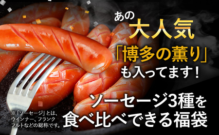 訳あり！特盛！ソーセージ食べ比べまんぷく福袋 合計2.5kg！ おかず 惣菜 ウインナー ソーセージ 3種 大容量 粗挽き お弁当 食べ比べ 冷凍 ストック おつまみ 博多の薫り やみつきJUMBO ボロニア