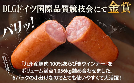 【ふるなびWEEK対象】 ウインナー 1.056kg 九州産豚肉100％ あらびきポークウインナーセット 6パック FN-Limited-WE