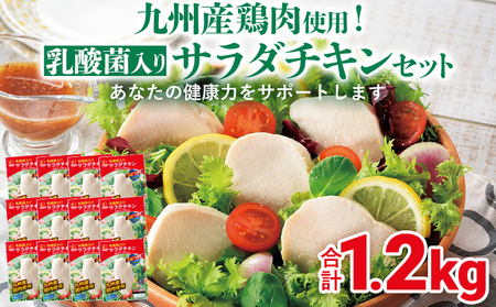 九州産鶏肉使用 乳酸菌入りサラダチキンセット 合計1.2kg 100g 12パック サラダチキン 乳酸菌 ヘルシー シールド乳酸菌 M-1 サラダ チキン プレーン 福岡県 福岡 九州 グルメ お取り寄せ