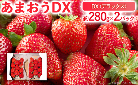 【2026年2月上旬より順次発送】 あまおうDX 約280g×2パック いちご 苺 フルーツ 果物 くだもの 福岡県 福岡 九州 グルメ お取り寄せ