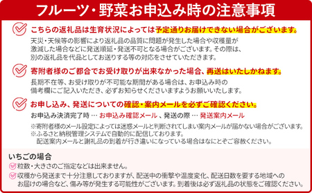 【2026年2月上旬より順次発送】 あまおうDX 約280g×4パック いちご 苺 フルーツ 果物 くだもの 福岡県 福岡 九州 グルメ お取り寄せ