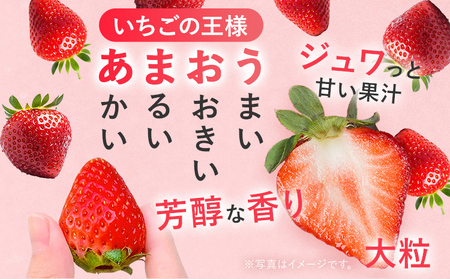 【2026年2月上旬より順次発送】 あまおう ボリュームセット 6パック グランデ等級 グランデ G いちご 苺 フルーツ 果物 くだもの 福岡県 福岡 九州 グルメ お取り寄せ