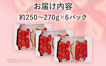 【2026年2月上旬より順次発送】 あまおう ボリュームセット 6パック グランデ等級 グランデ G いちご 苺 フルーツ 果物 くだもの 福岡県 福岡 九州 グルメ お取り寄せ