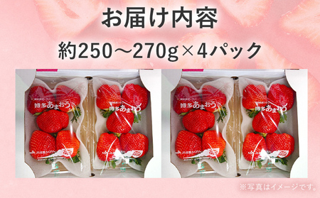 【2026年2月上旬より順次発送】 大粒あまおう 4パック いちご 苺 フルーツ 果物 くだもの 福岡県 福岡 九州 グルメ お取り寄せ