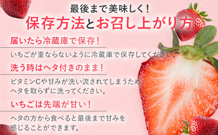 【2026年2月上旬より順次発送】 大粒あまおう 4パック いちご 苺 フルーツ 果物 くだもの 福岡県 福岡 九州 グルメ お取り寄せ