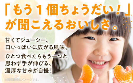 期間限定 みかん フルーツ 果物 くだもの 4kg 柑橘 甘い 濃厚 ジューシー 産地直送 デザート おやつ オレンジ 福岡県 福岡 九州 グルメ お取り寄せ 【12月上旬頃から順次発送】
