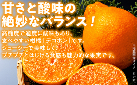 期間限定 デコポン フルーツ 果物 くだもの 3kg 柑橘 甘い 濃厚 ジューシー 産地直送 デザート おやつ オレンジ 福岡県 福岡 九州 グルメ お取り寄せ 【2月上旬頃から順次発送】