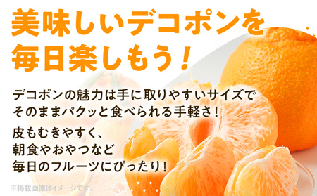 期間限定 デコポン フルーツ 果物 くだもの 3kg 柑橘 甘い 濃厚 ジューシー 産地直送 デザート おやつ オレンジ 福岡県 福岡 九州 グルメ お取り寄せ 【2月上旬頃から順次発送】