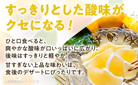 期間限定 ニューサマーオレンジ 日向夏 オレンジ フルーツ 果物 くだもの 5kg 柑橘 甘い 濃厚 ジューシー 産地直送 デザート おやつ 福岡県 福岡 九州 グルメ お取り寄せ 【4月上旬頃から順次発送】