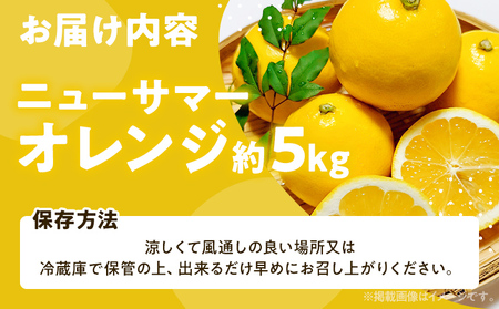 期間限定 ニューサマーオレンジ 日向夏 オレンジ フルーツ 果物 くだもの 5kg 柑橘 甘い 濃厚 ジューシー 産地直送 デザート おやつ 福岡県 福岡 九州 グルメ お取り寄せ 【4月上旬頃から順次発送】