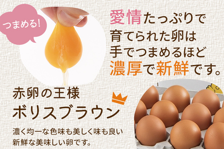 木村さんちのたまご 赤玉30個 （M～L） 九州産 卵 玉子 玉子焼き たまごかけごはん 生卵 濃厚卵 鶏卵 送料無料