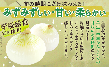玉ねぎ 2kg 【4月下旬～6月下旬頃に順次発送予定】 国産玉ねぎ