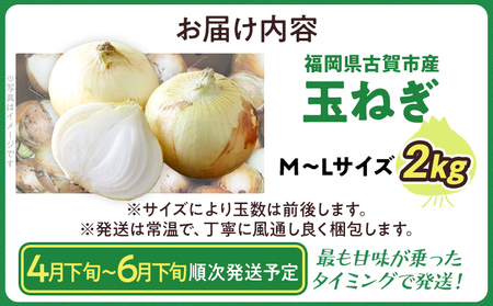 玉ねぎ 2kg 【4月下旬～6月下旬頃に順次発送予定】 国産玉ねぎ