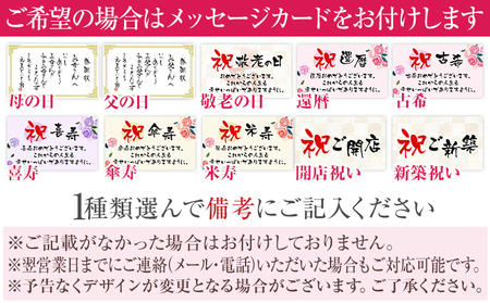フレームアレンジ 正方形 5色 メッセージカード ギフト プレゼント お祝い 母の日 父の日 敬老の日 還暦 古希 喜寿 傘寿 米寿 卒寿 長寿祝い 開店祝い 新築祝い 花 おしゃれ インテリア 贈り物 赤 紫 黄 ピンク 青
