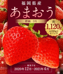 【先行予約】 あまおう 合計約1,120g 約280g×4パック DX【2020年12月~2021年4月順次発送予定】