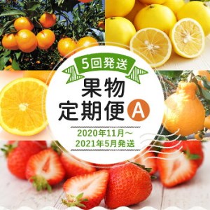 果物定期便A 5回発送 (みかん・ネーブル・デコポン・あまおう・ニューサマーオレンジ) 2020 【2020年11月~2021年5月まで計5回お届け】