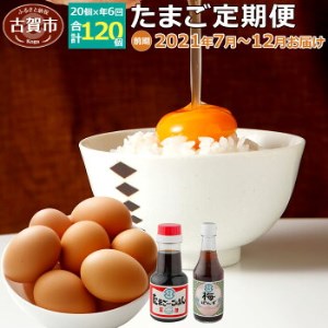 たまご(後期)定期便(6回発送)2020