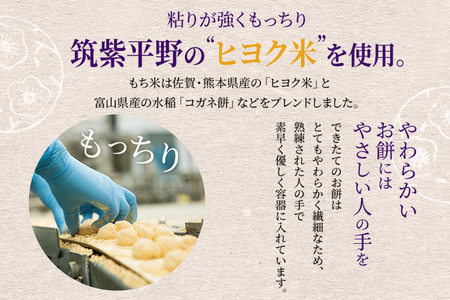 筑紫もち 12個入り つくしもち ちくしもち 筑紫餅 如水庵 九州 福岡 お土産 和菓子 贈り物 ギフト 慶事 仏事 お祝い お返し 老舗 送料無料